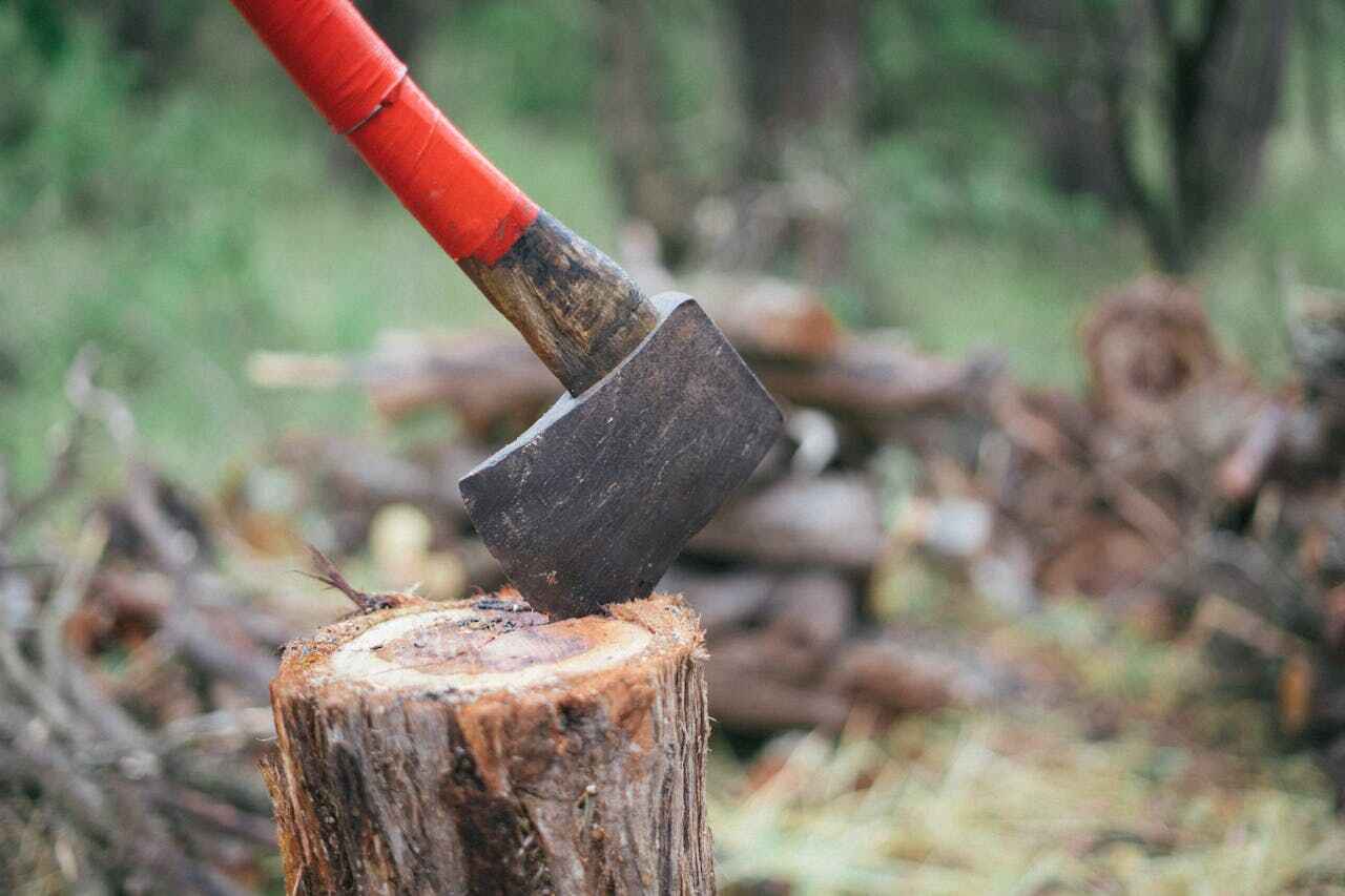 Best Stump Grinding Near Me  in Whiteman Af, MO